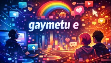 gaymetu e